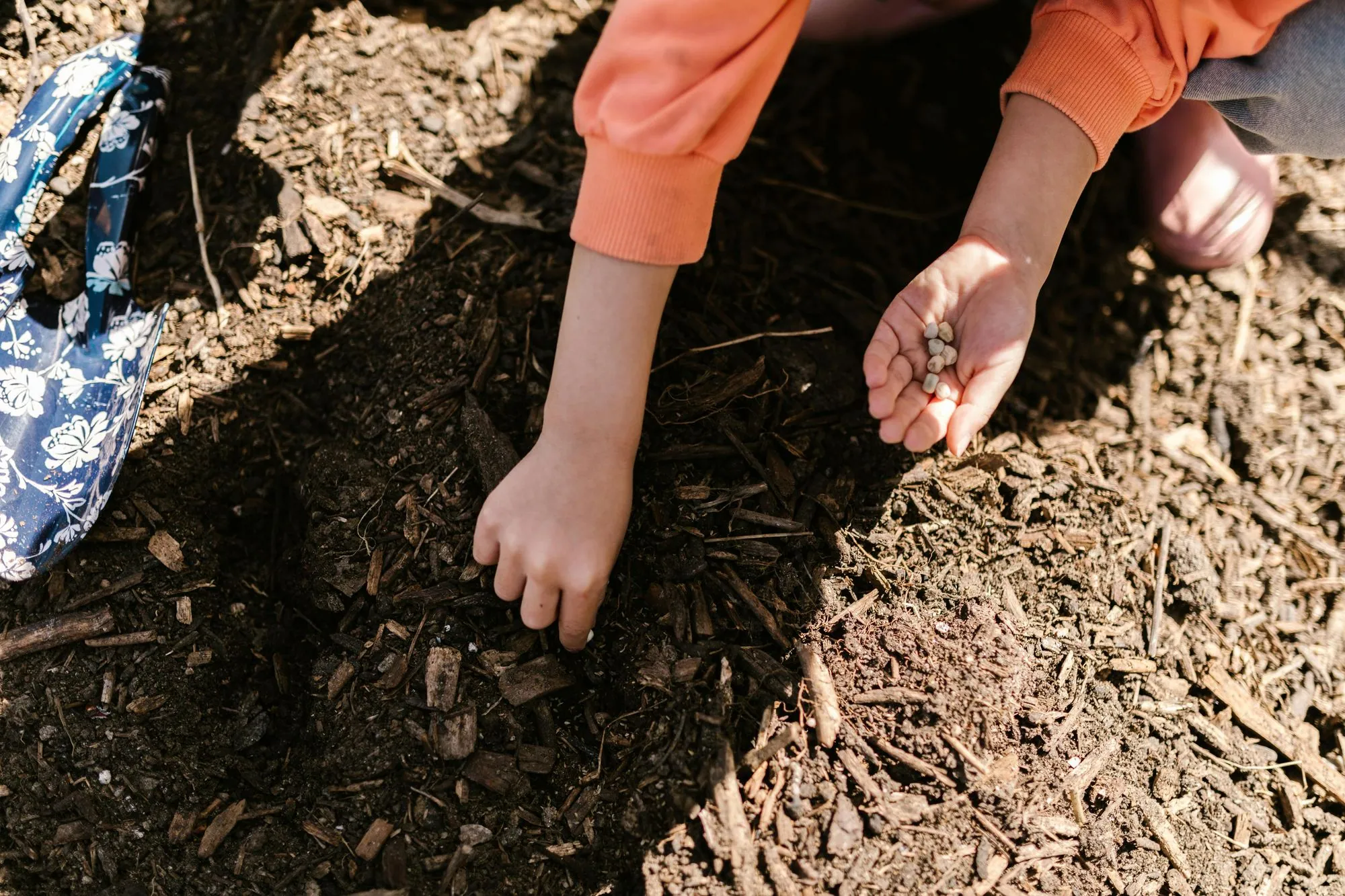 Comment composter, savoir faire du compost.